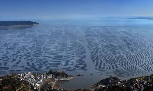 洞頭區 以科技創新澎湃海洋經濟高質量發展新動能，海水養殖技術研發走在前列