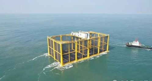 中國“海上糧倉”再添巨擘 6000噸三文魚年產值超6億，海洋養殖技術躋身世界前列