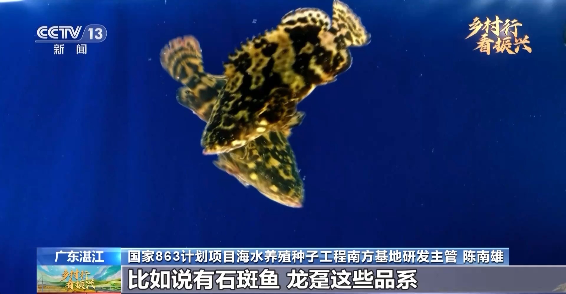 閑不住的“80后”葉富良 一定要把這口氣爭(zhēng)回來(lái)，有我們自己的種蝦